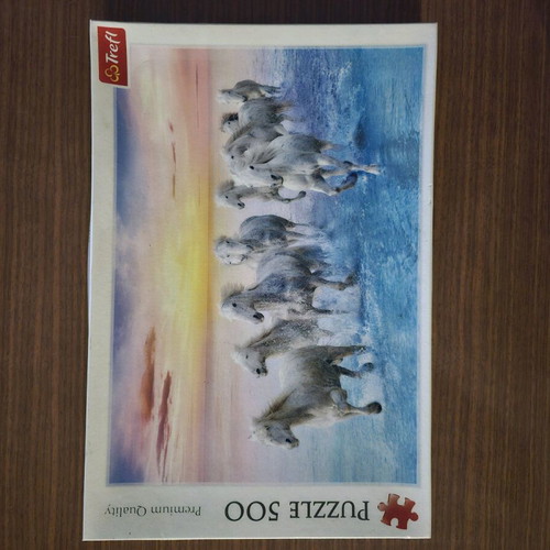 Puzzle with horses running in the sea 500 pieces used