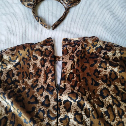 Cat carnival costume like new