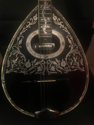Bouzouki tetrahordo professional used with amplifier and hard case