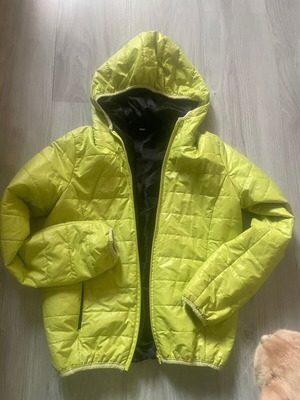 Short sports jacket new, green color, size S
