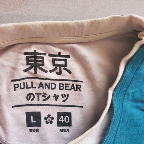 Pull & Bear Tokyo Suburbs graphic long-sleeve tee size L, teal, like new