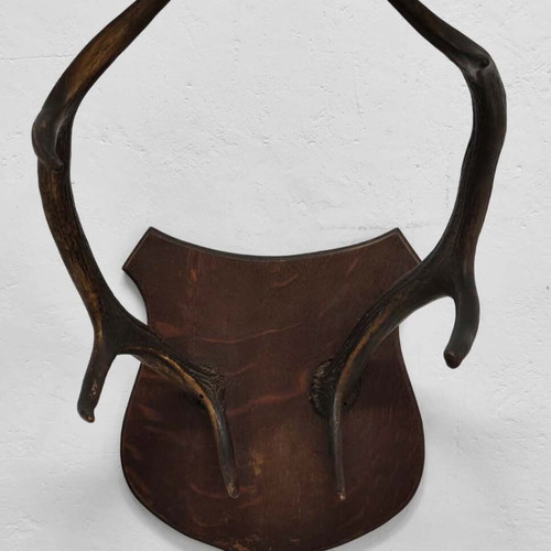 Vintage Deer Antlers Wall Mount on Wooden Base like new, 41 cm