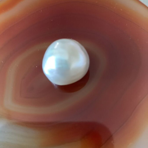 Natural round half South Sea pearl 23 cts creamy