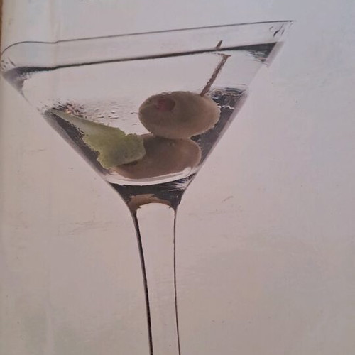 The Art of Cocktails used book