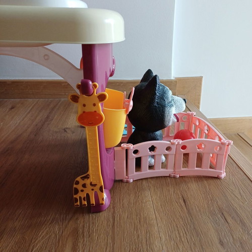 Pet care set used with accessories for feeding and bathing