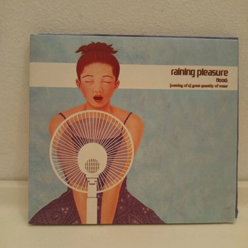Raining Pleasure Flood CD used, rock