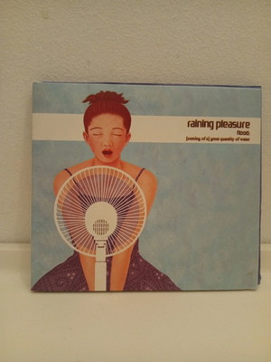Raining Pleasure Flood CD used, rock