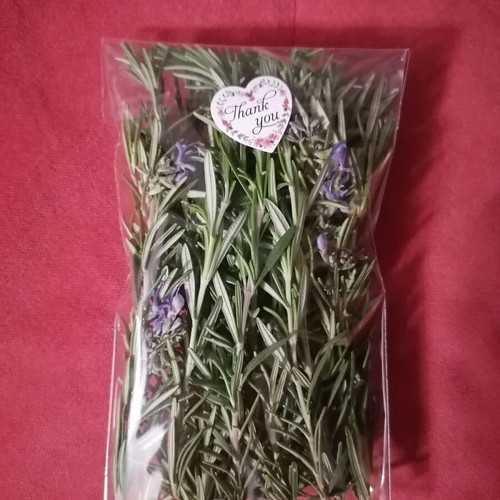 Fresh rosemary organic, pesticide-free