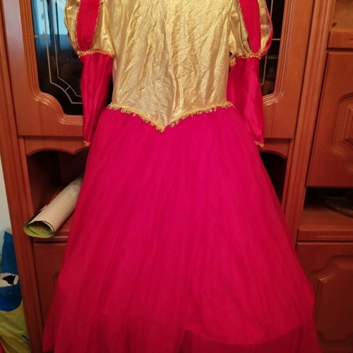 Carnival costume Queen size 10 like new