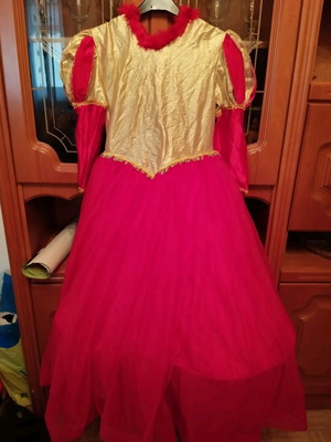 Carnival costume Queen size 10 like new