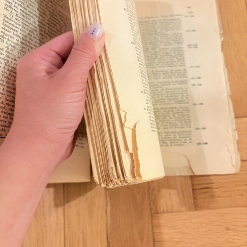 The Greek Revolution by Dionysios A. Kokkinos Volume 6 used, 1935 edition
