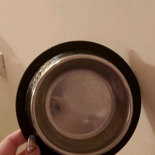 Small pet bowl used, stainless steel with non-slip base