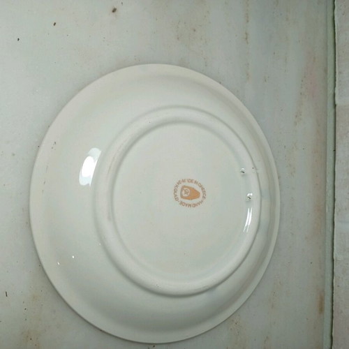 Decorative porcelain or ceramic plate with gold rim like new