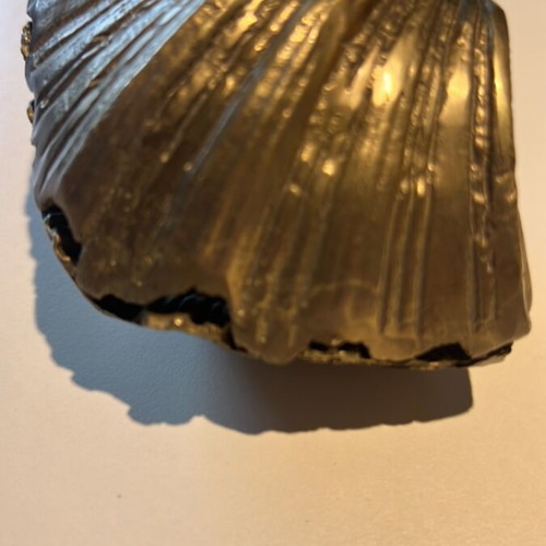 Brass press-papiers in clam shell shape like new