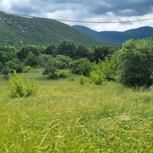 Land plot 3.5 acres in Parnassos with stunning view