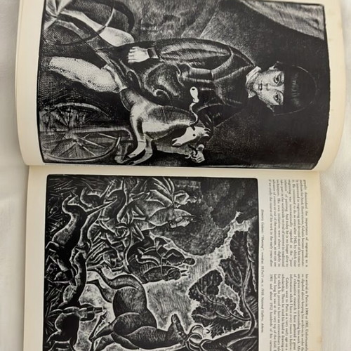 Zygos Annual Edition 1985 Volume IV art magazine used
