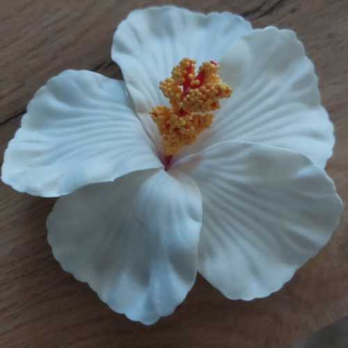 Hair clip like new