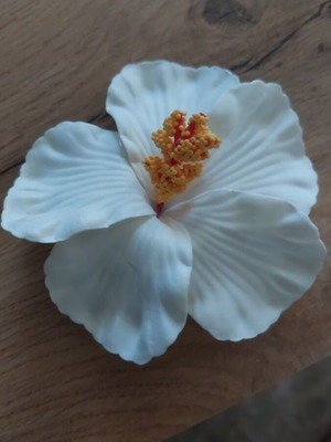 Hair clip like new