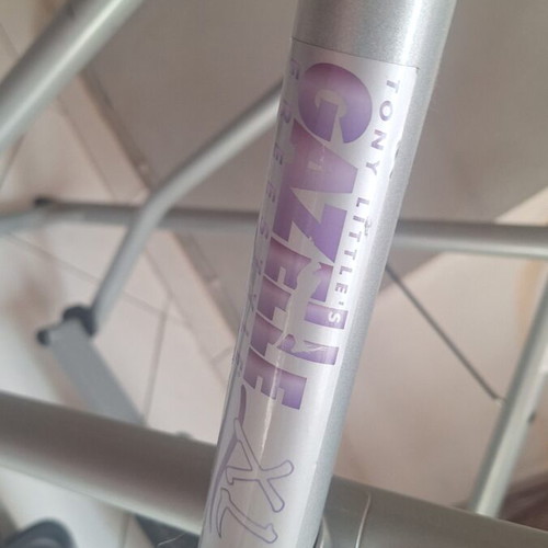 Tony Gazelle XL Aeroperpatitis used fitness equipment