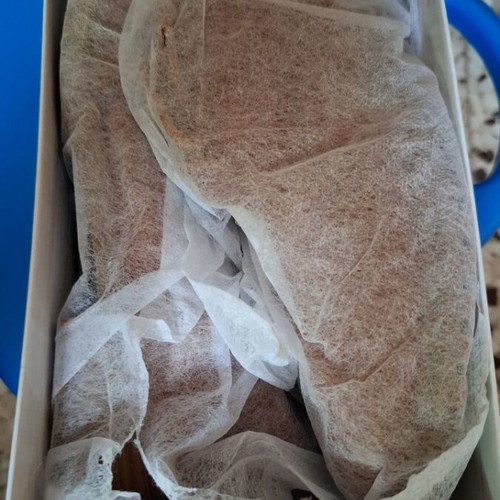 GoGo Shoes women's shoes new, size 40, brown