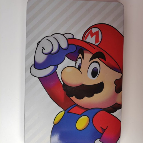 Mario & Luigi Brotherhood Steelbook for Nintendo Switch like new