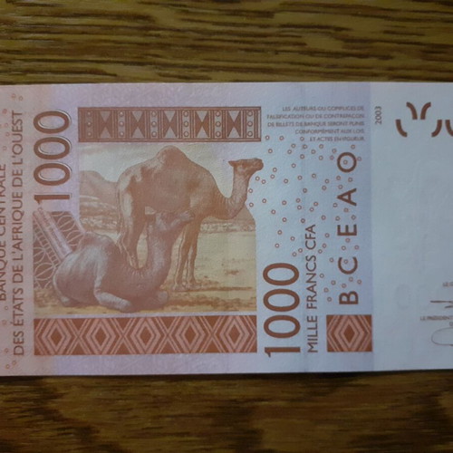 Niger 1,000 Francs CFA banknote 2021, BCEAO