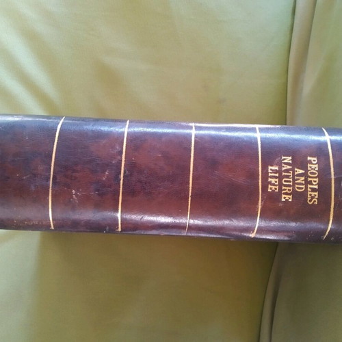 Insectes book by Jean, illustrated, 430 pages, 1950