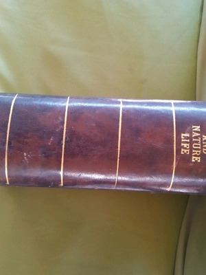 Insectes book by Jean, illustrated, 430 pages, 1950