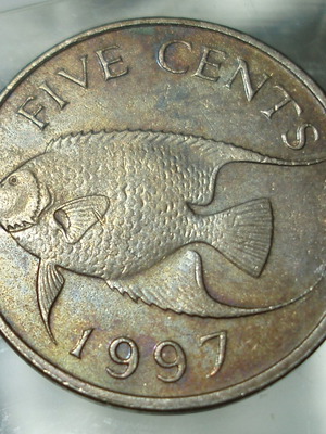 Bermuda 5 Cents 1997 coin used