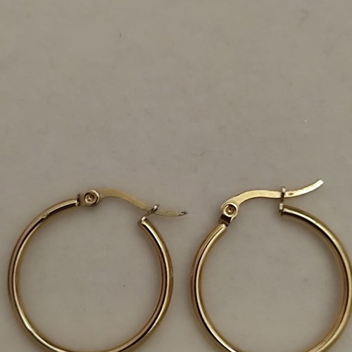 Gold stainless steel hoop earrings, Anna fine jewellery