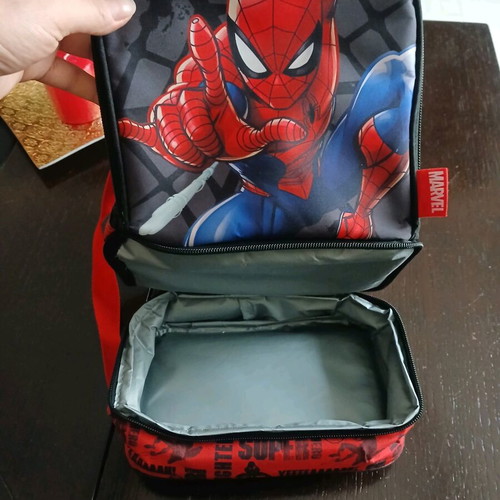 Insulated lunch bag like new