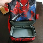 Insulated lunch bag like new