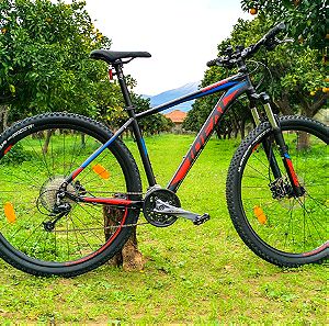 Ποδήλατο IDEAL Zig Zag 29" (48cm/M) Καινούργιο