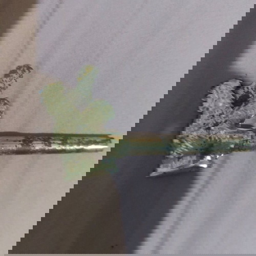 Метална свирка петел употребявана Атина 1950-60 рядка