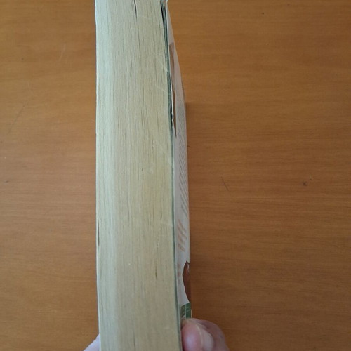 Lasting Damage Sophie Hannah book