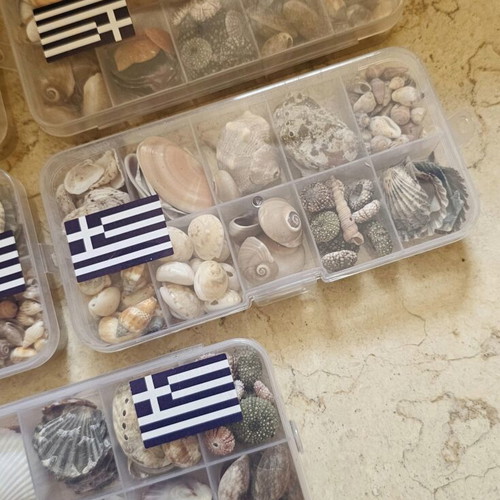 Mini shells, set of 5 gift boxes