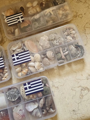 Mini shells, set of 5 gift boxes