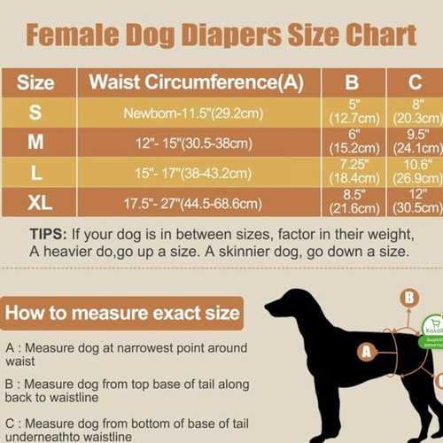 Period set for female dog like new with panties, pads, and spray