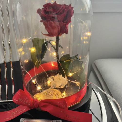 Preserved red rose in glass dome used with LED lights
