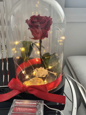 Preserved red rose in glass dome used with LED lights