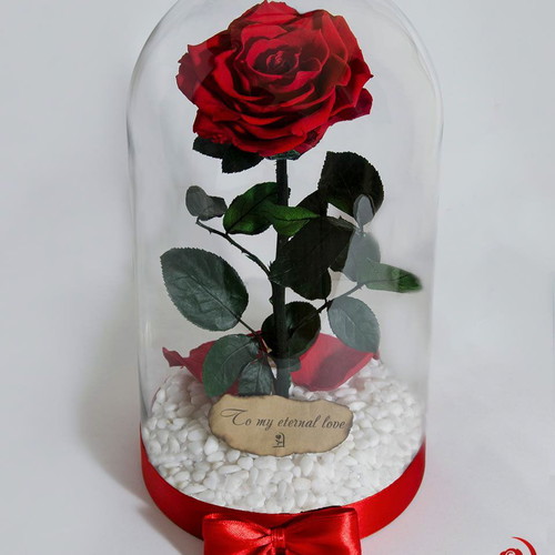 Red Eternal Rose in Large Glass Dome made to order
