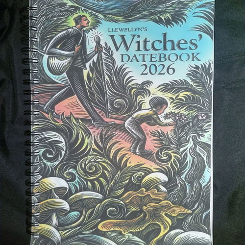 Llewellyn's Witches Datebook 2026 used