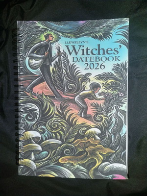Llewellyn's Witches Datebook 2026 used