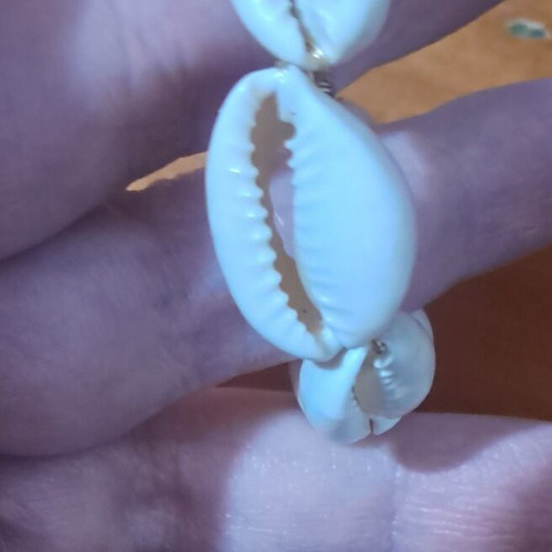 Earring with shells like new, white
