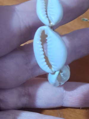 Earring with shells like new, white