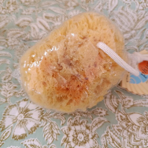 Natural sponge new