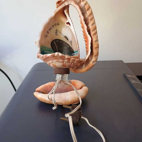 Handmade shell table lamp used