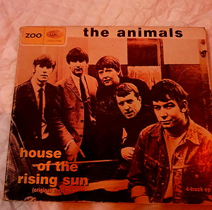 the animals