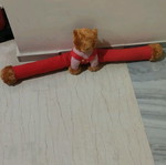Door draft stopper teddy bear used