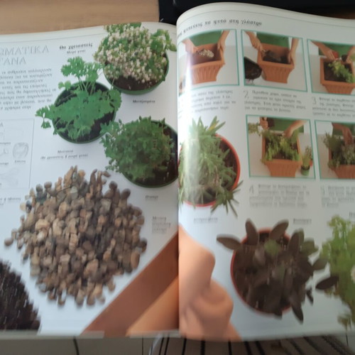 The First Gardening Book, guide for growing plants at home